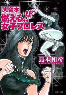 【訳あり品特価】大合本 燃える!! 女子プロレス（30％OFF）