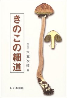 【バーゲンブック】きのこの細道