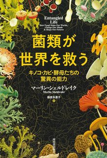 菌類が世界を救う キノコ・カビ・酵母たちの驚異の能力