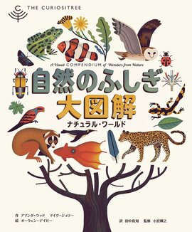 【バーゲンブック】自然のふしぎ大図解 ナチュラル・ワールド