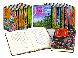 【謝恩特価】大活字 故事物語シリーズ（20％OFF）