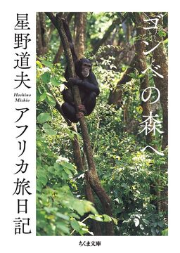 ゴンベの森へ アフリカ旅日記
