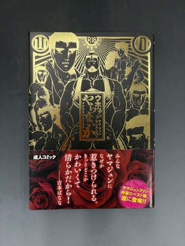 ［ 古書 ］ウホッ!! ヤマジュンセレクション やらないか