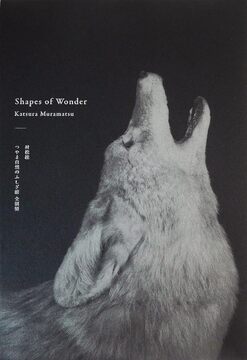 Shapes of Wonder つやま自然のふしぎ館 全剥製