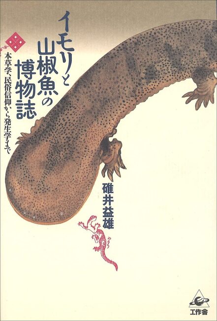 イモリと山椒魚の博物誌 本草学、民俗信仰から発生学まで（カバー汚れあり）