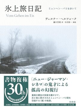 氷上旅日記 ミュンヘン-パリを歩いて