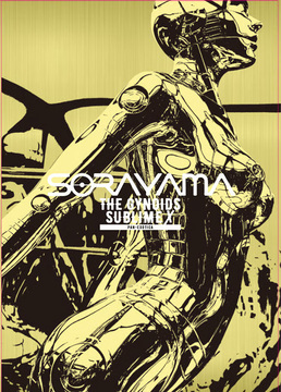 SORAYAMA THE GYNOIDS SUBLIME X