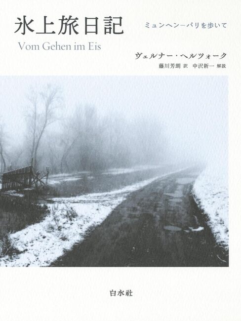 氷上旅日記 ミュンヘン-パリを歩いて