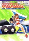 新世紀ＧＰＸサイバーフォーミュラＯＶＡシリーズコンプリートファイル