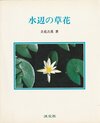 水辺の草花