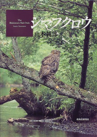 シマフクロウ
