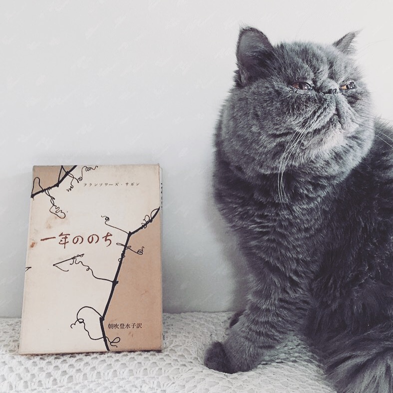 雨の日時々サガン