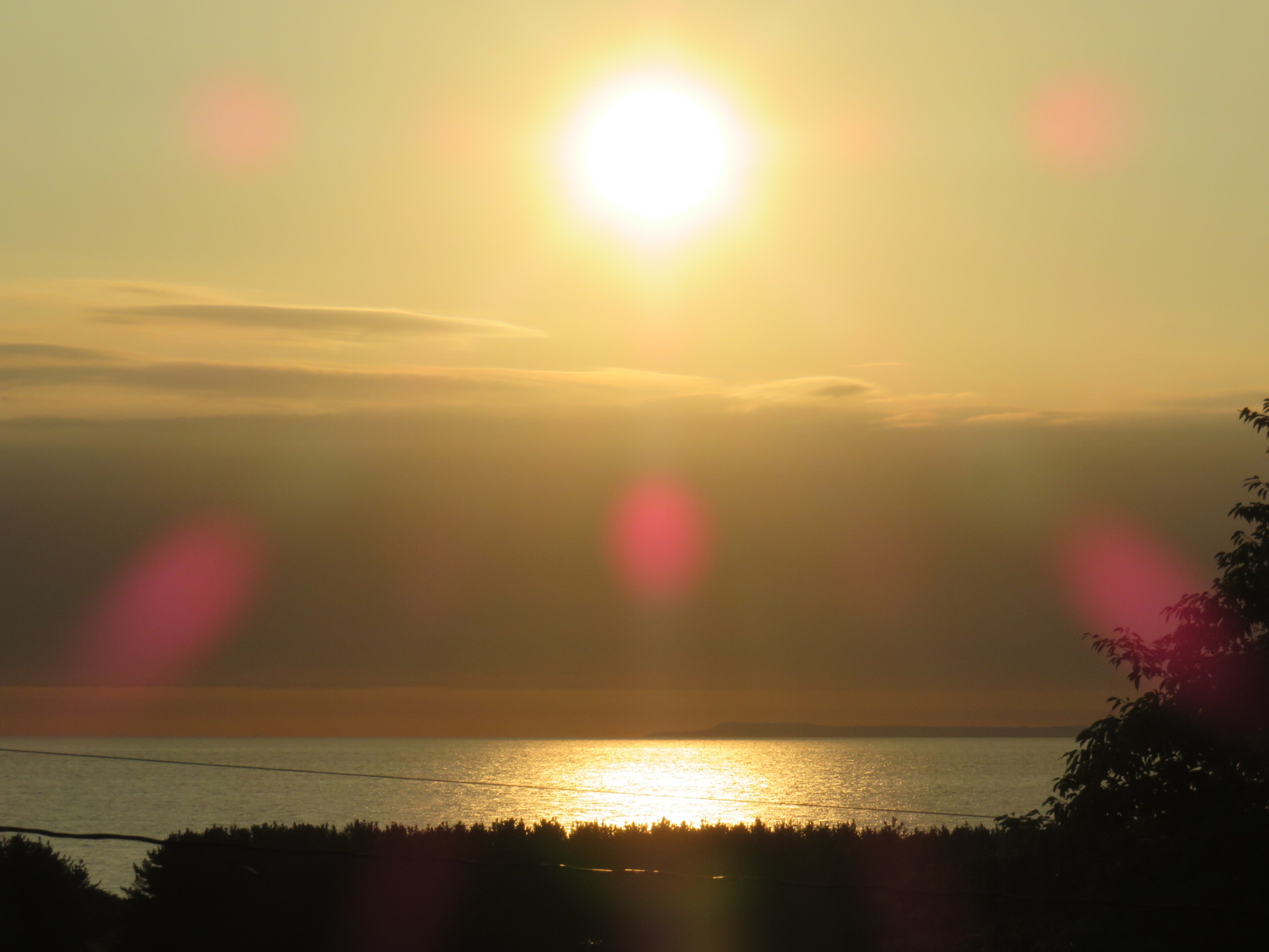 おたからまんちん