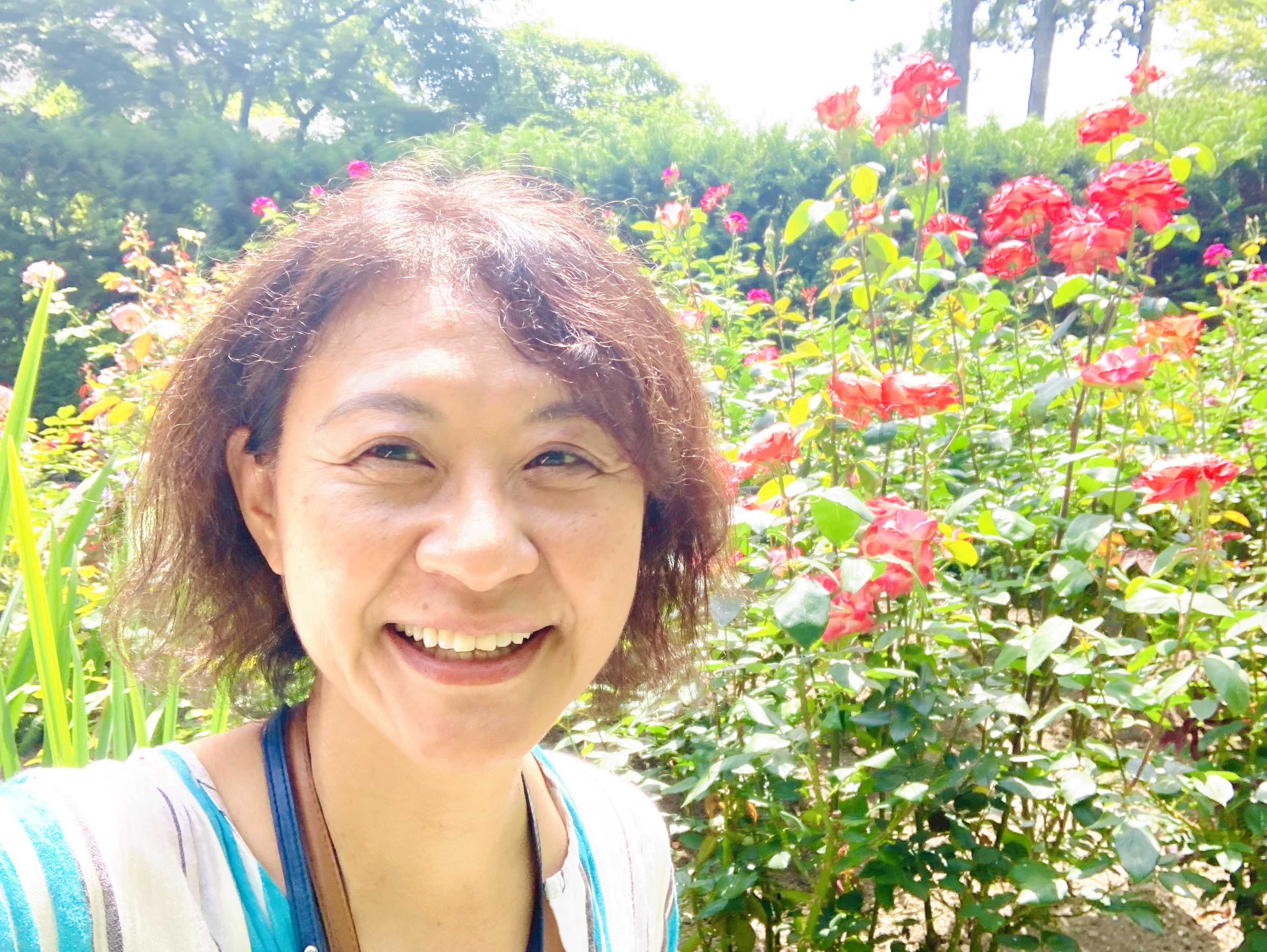 宇宙からの大予言（松原照子）』 レビュー一覧 | 復刊ドットコム