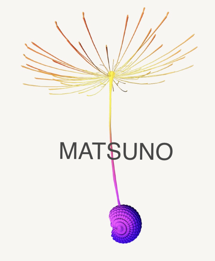 マツノ