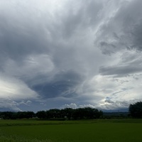 エスト