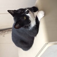 燃えつきた棒