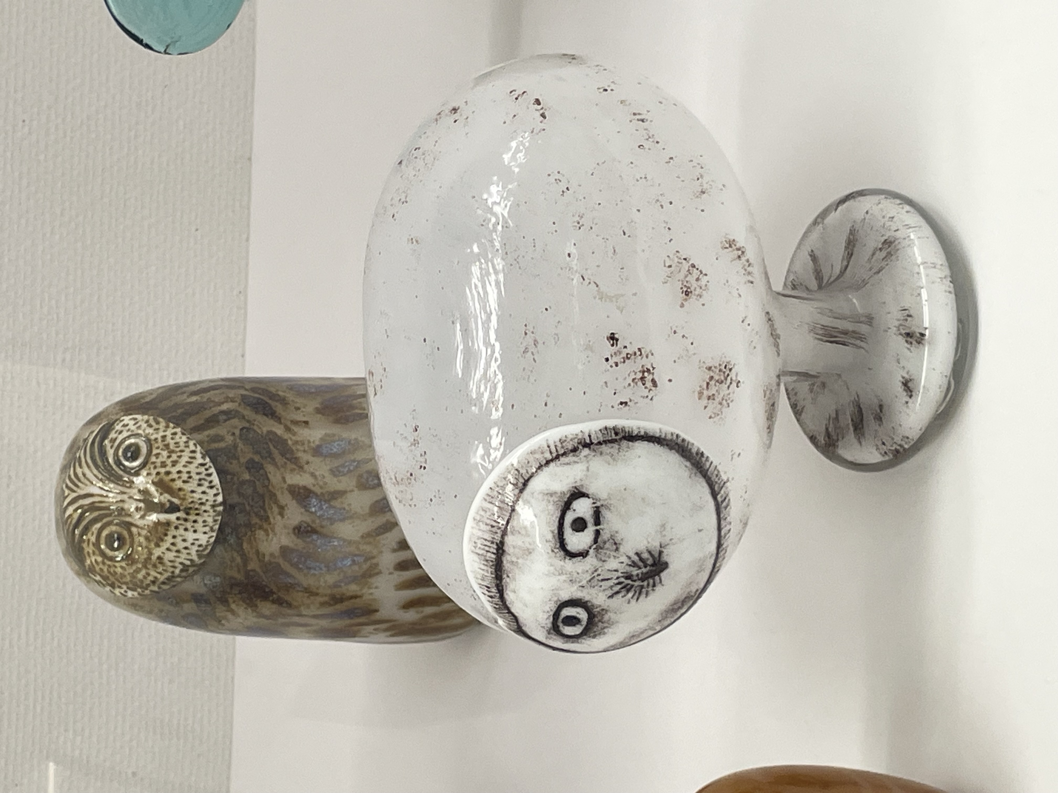 ぶさねこさくら