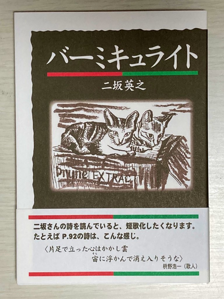 宇津井 俊平（新俊平バス）