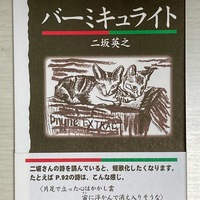 宇津井 俊平（新俊平バス）
