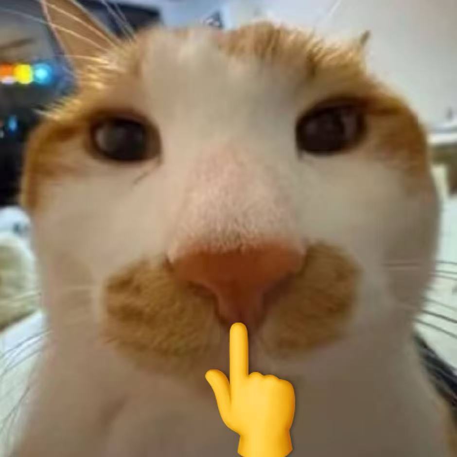 望穿