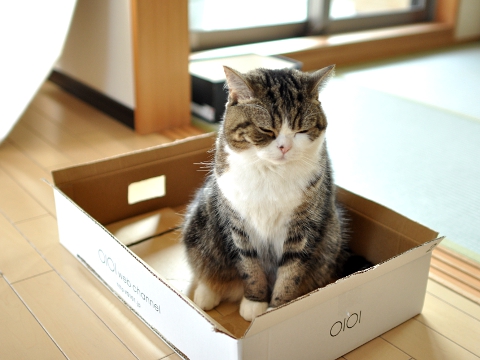 じゅんたかのり