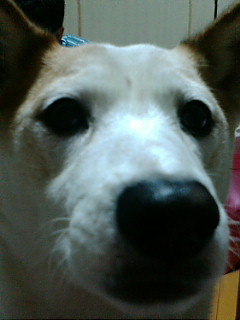 イクタ　カンタ